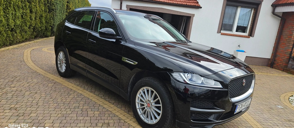 Jaguar F-Pace cena 102900 przebieg: 125150, rok produkcji 2018 z Trzemeszno małe 704